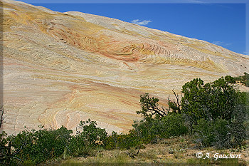 Auf dem Rückweg vom Yellow Rock